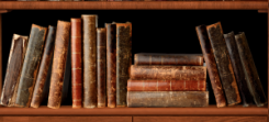 easy-old-bookshelf-for-your-old-book-shelf-2-door-wrap-—-rm-wraps-of-old-bookshelf-300x136.png